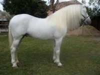 /album/fotogaleria/a13-espa-jpg/